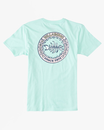 billabong, Boy's Bonez T-Shirt, COOL MINT (clm) Bonez - T-Shirt for Boys 8-16 ABBZT00359