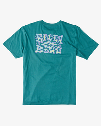 billabong, Boy's Tall Tale T-Shirt, DARK MINT (dmi) Tall Tale - T-Shirt for Boys 8-16 ABBZT00360