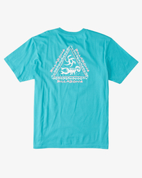 billabong, Boy's Tall Tale T-Shirt, TEAL (tea) Tall Tale - T-Shirt for Boys 8-16 ABBZT00360