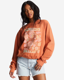 billabong, Here We Go Graphic Crewneck Sweatshirt, BRICK (brk) Here We Go - Sweatshirt for Women ABJFT00344