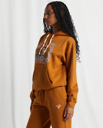 1 Sunset And Vibes Sweatshirt Brown ABJSF00521 Billabong