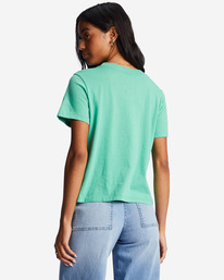 billabong, Choppy Waters T-Shirt, SWEET GRASS (gkz0) CHOPPY WATERS ABJZT01036