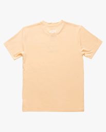 1 Boy's (2-7) All Day Wave Loose Fit Short Sleeve Surf Tee Pink ABTWR00100 Billabong