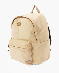 2 All Day Color Block 24L - Medium Backpack for Men  ABYBP00143 Billabong