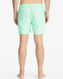 5 All Day Layback Boardshorts 16" Green ABYBS00153 Billabong