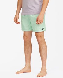 All Day Overdyed Essential Boardshorts 17"