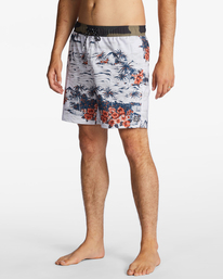 billabong, Sundays Layback Boardshorts 17", BONE (bon) Sundays Layback 17" - Board Shorts for Men ABYBS00253