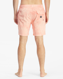 5 Sundays Layback Boardshorts 17" Green ABYBS00253 Billabong