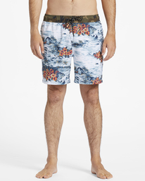 2 Sundays Layback Boardshorts 17" Blue ABYBS00253 Billabong