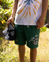 0 Sundays Placement Layback Boardshorts 19" Green ABYBS00338 Billabong