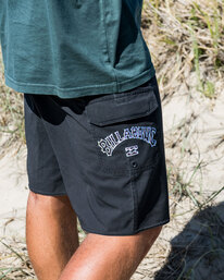 Arch Pro - Board Shorts for Men  ABYBS00443