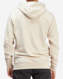 2 Hudson Pullover Hoodie Multicolor ABYFT00157 Billabong
