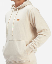 3 Hudson Pullover Hoodie Multicolor ABYFT00157 Billabong