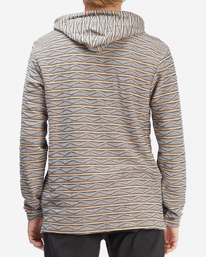 Flecker Lite Pullover Hoodie Flecker Lite Pullover Hoodie