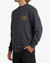 1 Short Sands Crewneck Sweatshirt Grey ABYFT00320 Billabong