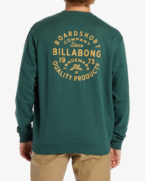 Short Sands Crewneck Sweatshirt