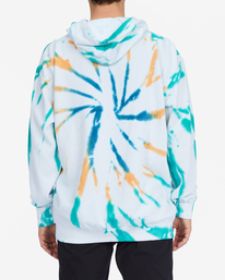billabong, Plants Dance Organic Pullover Hoodie, MULTI (mul) PLANTS DANCE PULLOVER ABYFT00333