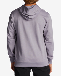 2 All Day - Sweat à capuche pour Homme Gris ABYFT00336 Billabong