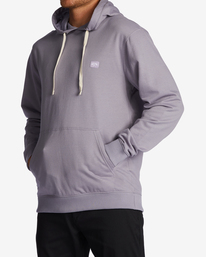 3 All Day - Sweat à capuche pour Homme Gris ABYFT00336 Billabong