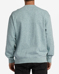 Re-Issue Crewneck Wave Washed Sweatshirt