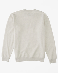 5 Re-Issue - Sweatshirt for Men Gray ABYFT00370 Billabong
