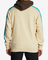 billabong, Wave Washed Hoodie, CHINO (chi) Wave Washed - Hoodie for Men ABYFT00371