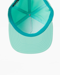 4 Arch Team Strapback Hat Green ABYHA00330 Billabong