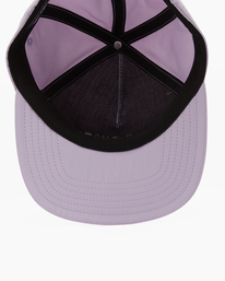 4 Arch Team Strapback Hat Purple ABYHA00330 Billabong