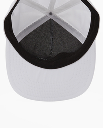 4 Arch Team Strapback Hat White ABYHA00330 Billabong