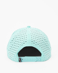 billabong, Range Trucker Hat, COOL MINT (clm) RANGE TRUCKER ABYHA00387