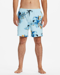 2 Sundays Layback 17" Boardshorts Blue ABYJV00103 Billabong