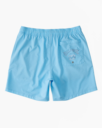 1 Riot Layback 17" Boardshorts Blue ABYJV00105 Billabong