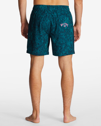 5 Riot Layback 17" Boardshorts Blue ABYJV00105 Billabong