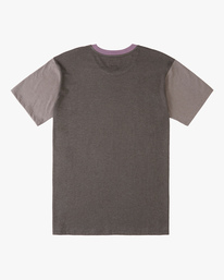 4 Zenith Short Sleeve T-Shirt Black ABYKT00127 Billabong
