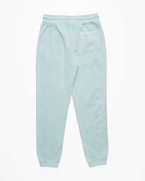 4 Wave Washed Sweatpants Blue ABYNP00118 Billabong