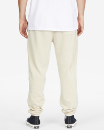 2 Wave Washed Plantasia Sweatpants Beige ABYNP00139 Billabong