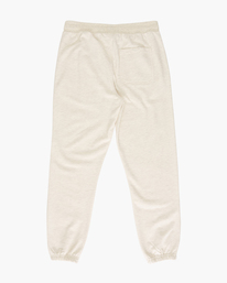 4 All Day Sweatpants Grey ABYNP00156 Billabong