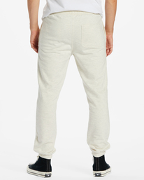 billabong, All Day Pantalonalon En Molleton, LIGHT GREY HEATHER (lgh) ALL DAY PANT ABYNP00156