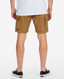 2 A/Div Surftrek Cargo Shorts 19" Brown ABYWS00167 Billabong