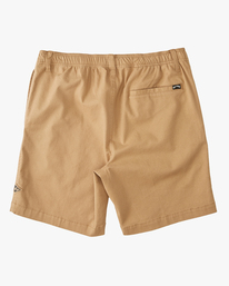 1 Larry Layback Shorts 19" Brown ABYWS00194 Billabong