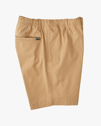 2 Larry Layback Shorts 19" Brown ABYWS00194 Billabong