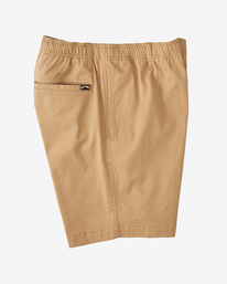 3 Larry Layback Shorts 19" Brown ABYWS00194 Billabong
