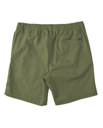 4 Larry Layback Shorts 19" Green ABYWS00194 Billabong