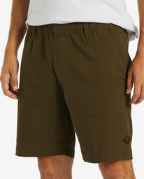 2 Larry Layback Shorts 19" Green ABYWS00194 Billabong