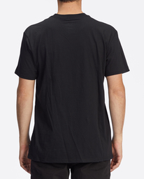 2 Stacked Short Sleeve T-Shirt  ABYZT00608 Billabong