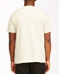 2 Essential Pocket Wave Washed T-Shirt White ABYZT00656 Billabong