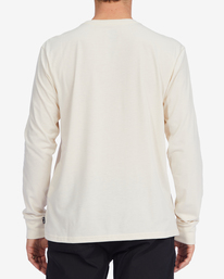 3 A/Div Performance Arch UV Long Sleeve T-Shirt Brown ABYZT00850 Billabong