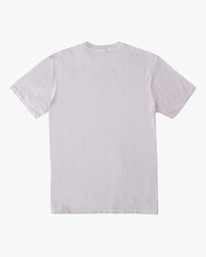 6 Montage Wave Washed Short Sleeve T-Shirt  ABYZT00886 Billabong