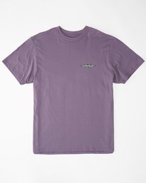 4 Crayon Wave Short Sleeve T-Shirt Pink ABYZT01061 Billabong