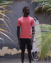 billabong, Wave Washed T-Shirt à Manches Courtes, FADED ROSE (fds) ESSENTIAL WAVE WASHED SS ABYZT01220